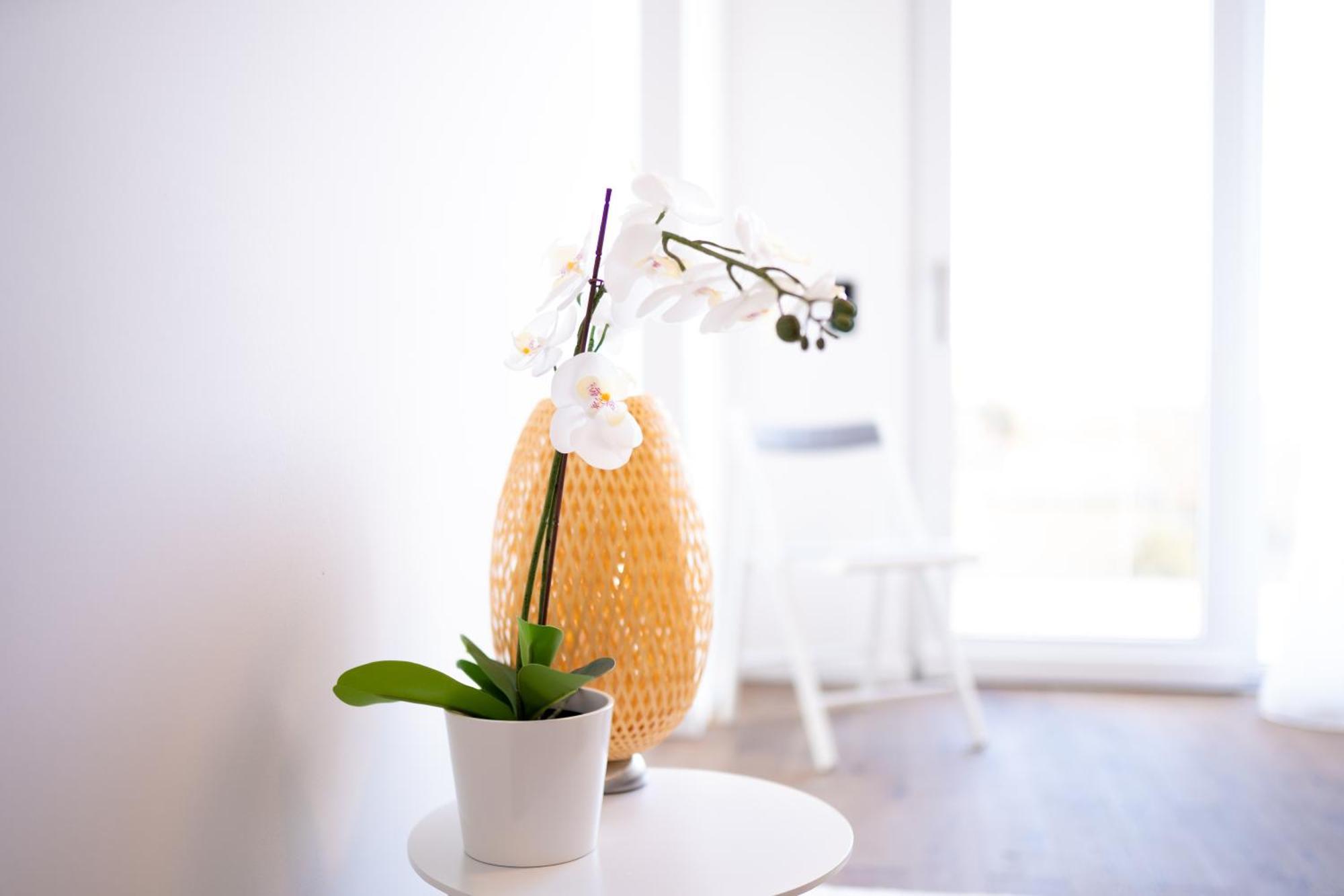 Design With Balcony & Free Parking Appartement *